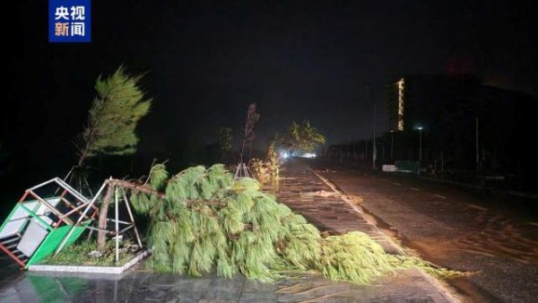 旺源配资 台风“博罗依”登陆越南 部分地区断电断网