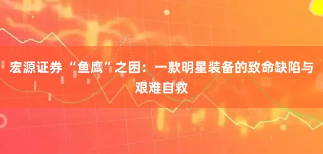 宏源证券 “鱼鹰”之困：一款明星装备的致命缺陷与艰难自救