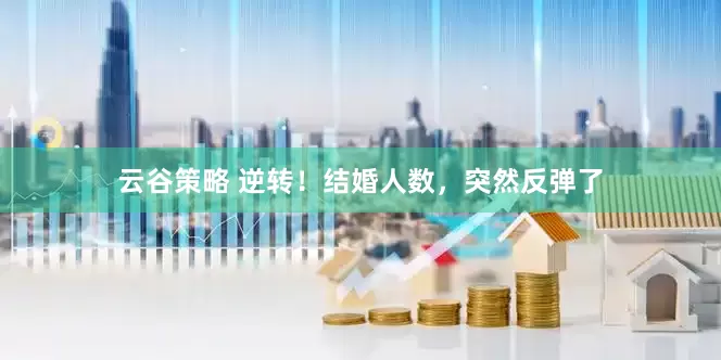 云谷策略 逆转！结婚人数，突然反弹了